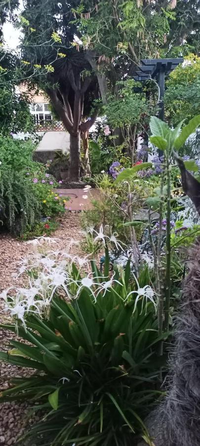 סאוסאל Casa Flora Garden Studio מראה חיצוני תמונה