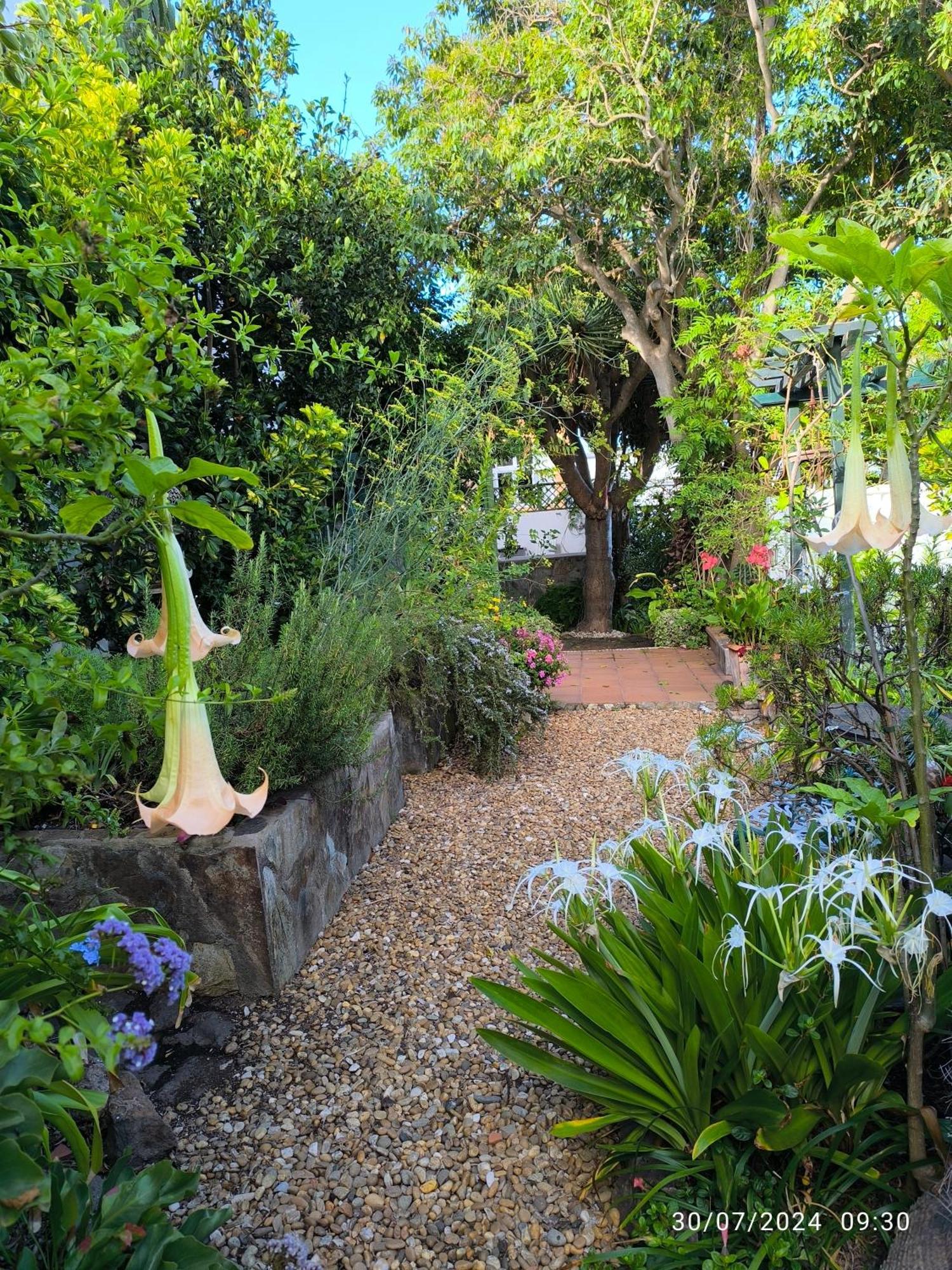 סאוסאל Casa Flora Garden Studio מראה חיצוני תמונה