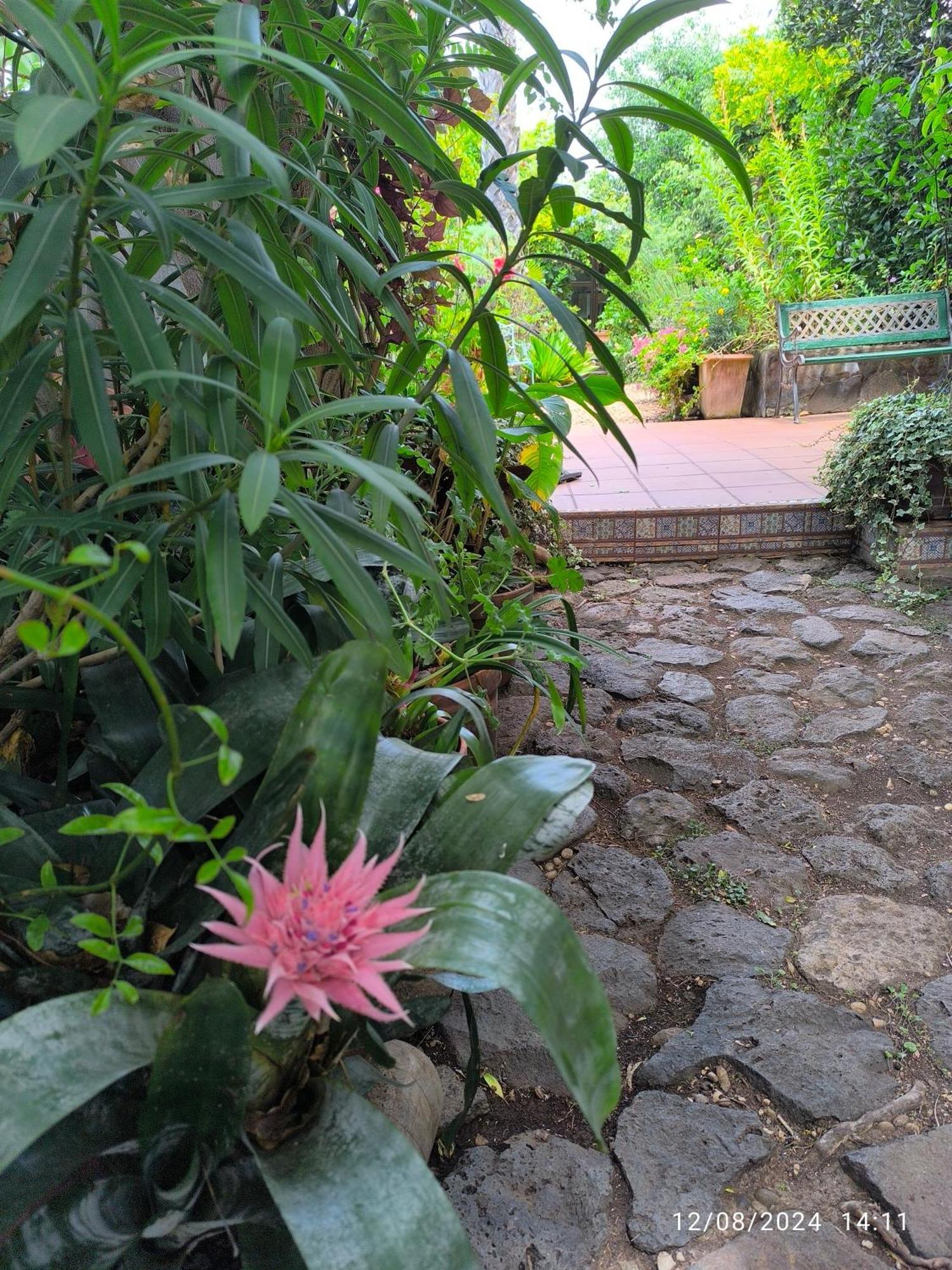 סאוסאל Casa Flora Garden Studio מראה חיצוני תמונה