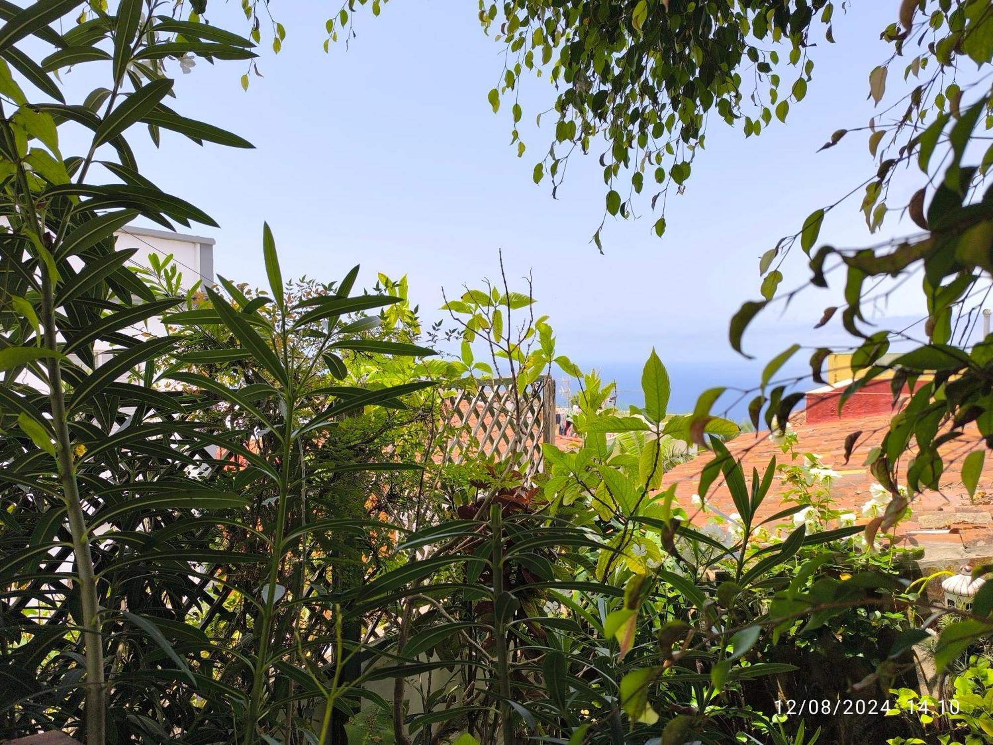 סאוסאל Casa Flora Garden Studio מראה חיצוני תמונה